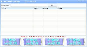 种子在线播放代码,代码背后的奥秘解析