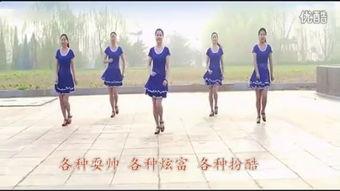 欢快广场舞视频大全2015,2015年度欢快广场舞视频大全精选回顾