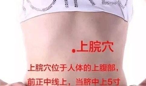 中医穴位减肥视频,穴位按摩助你轻松瘦身