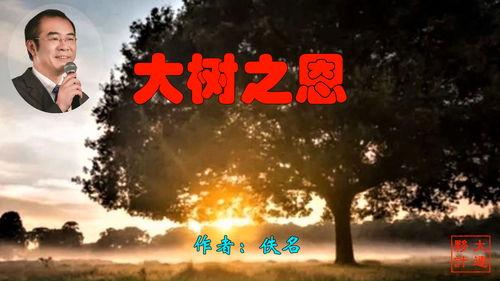 树读 视频,探索自然之美，感受生命力量