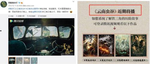 云南虫谷爆料视频,揭秘神秘古墓的惊悚之旅