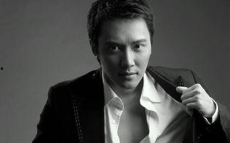 职业照片男明星,揭秘男明星职业照片背后的故事