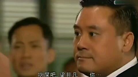 视频梁非凡,视频中的魅力演绎与人生感悟