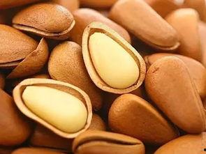 日本 松子 hina,日本时尚界的璀璨明珠