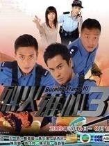 电视剧烈火雄心在线播放,燃烧激情，守护家园的消防英雄传奇