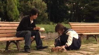 励志 日本 剧集,日本励志剧集启示录