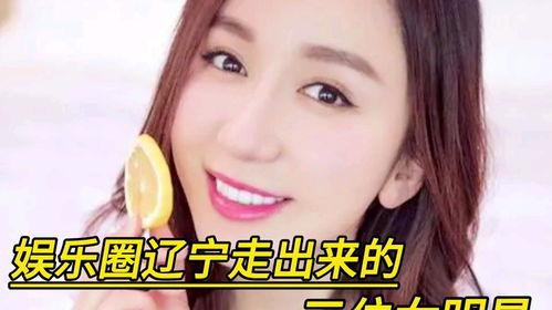 辽宁走出来明星,璀璨星河中的辽宁之光