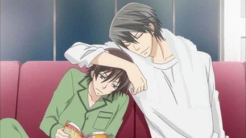 在日本耽美,细腻情感与独特审美的交织之旅