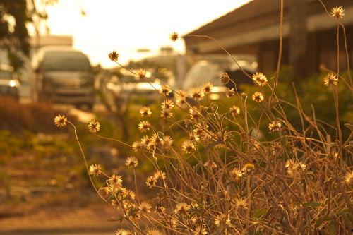 老公要静一静,老公的内心独白