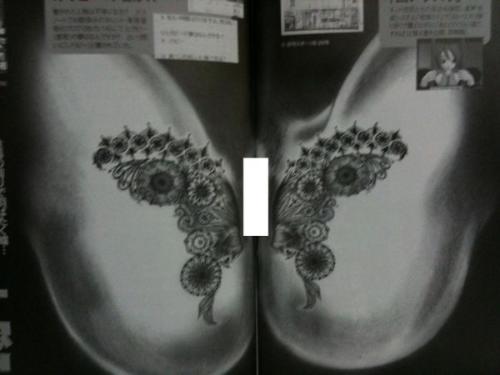 av私处写真图片,揭秘AV界的真实面貌