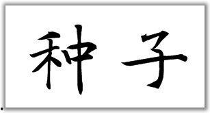 爷爷教写毛笔字视频,探寻毛笔字传承之美