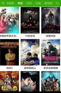 狐影免费观看西瓜影院,免费畅享西瓜影院，揭秘神秘狐影世界