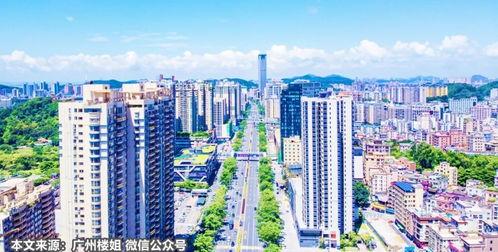 东莞楼市爆料最新消息