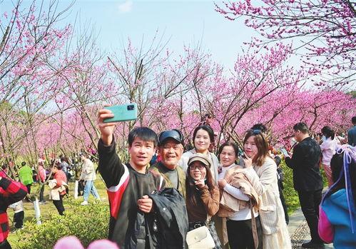 暧暧的幸福免费观看,免费畅享暧暧的幸福温馨时光