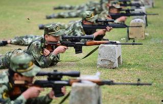 特战精英在线观看免费,免费在线观看，热血战场等你挑战！