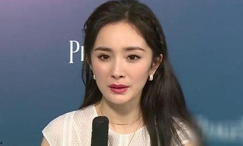 笨蛋可以当明星吗