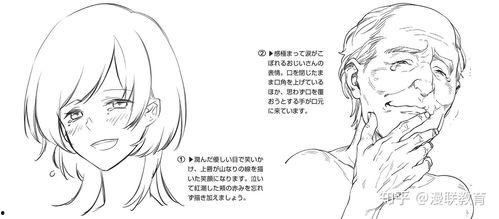 皱纹动画免费观看,揭秘时光痕迹的奇幻之旅