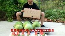 娱乐吃瓜搞笑视频